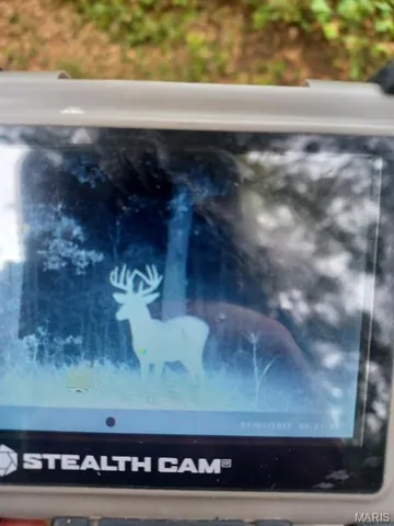 $110,000 | 0 County Road 6575, Salem, MO 65560