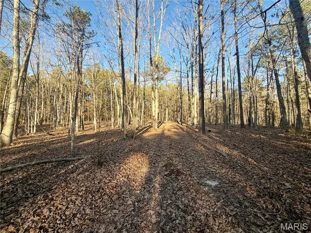 $110,000 | 0 County Road 6575, Salem, MO 65560