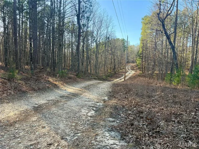 $110,000 | 0 County Road 6575, Salem, MO 65560