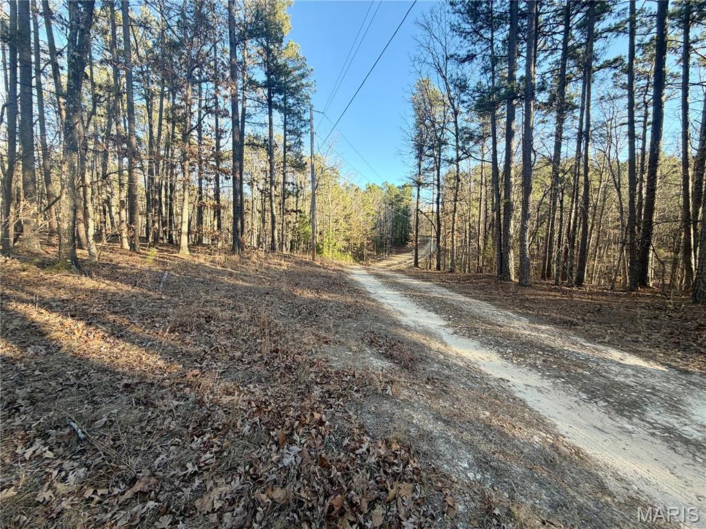 0 County Road 6575 Salem, MO 65560 - Photo 8 of 22