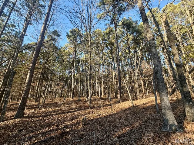 $110,000 | 0 County Road 6575, Salem, MO 65560