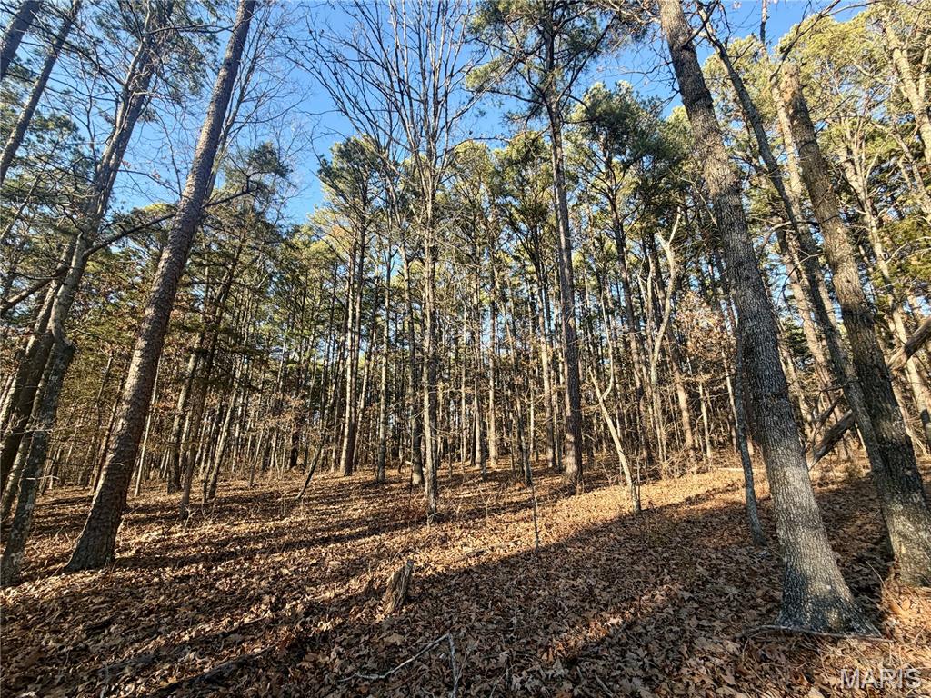 0 County Road 6575 Salem, MO 65560 - Photo 9 of 22