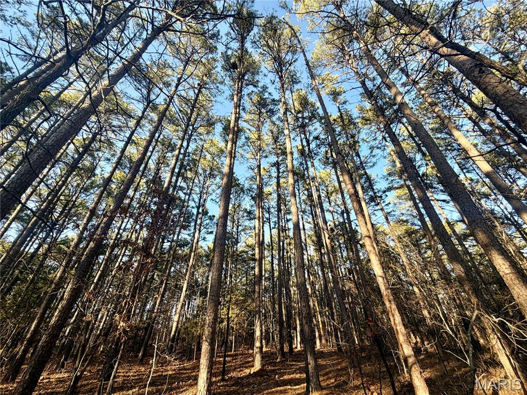 0 County Road 6575 Salem, MO 65560 - Photo 10 of 22