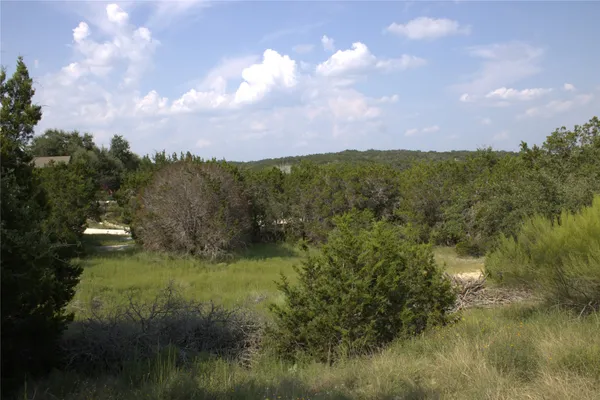 a view of a lake and green space