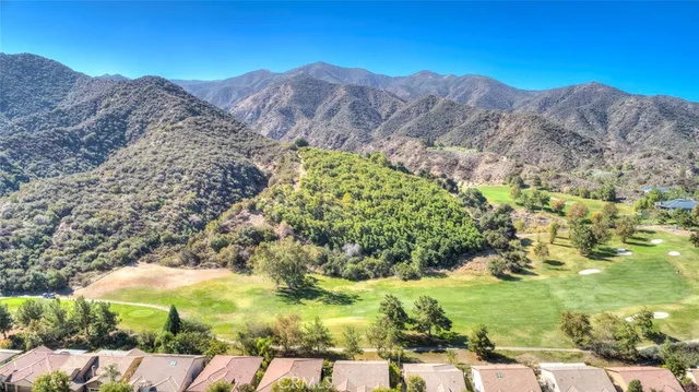 a view of a forest with mountains in the background