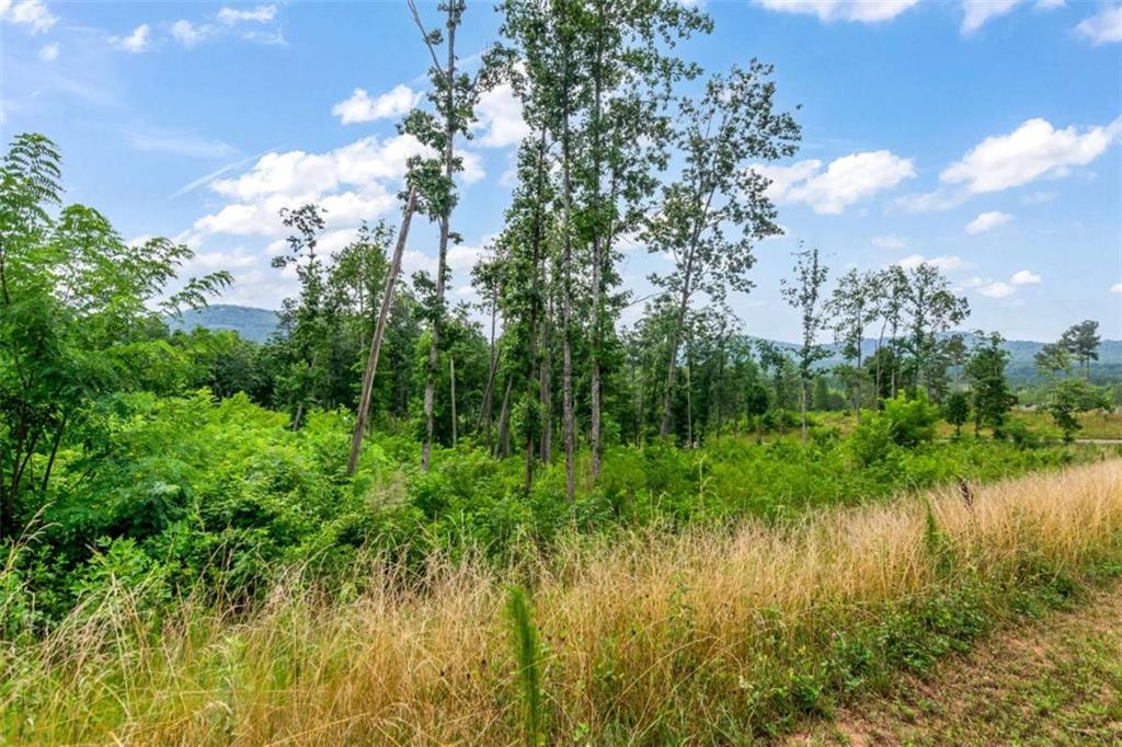 128 Twisted Oak Road Talking Rock, GA 30175 - Photo 15 of 31 a view of lake with green space
