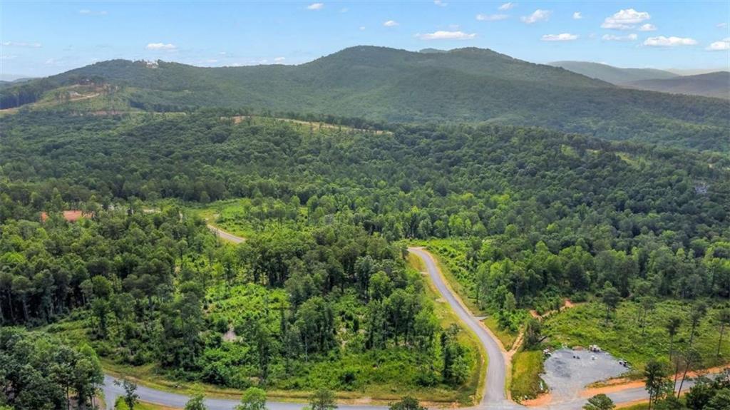 128 Twisted Oak Road Talking Rock, GA 30175 - Photo 2 of 31 a view of a lush green hillside and a houses