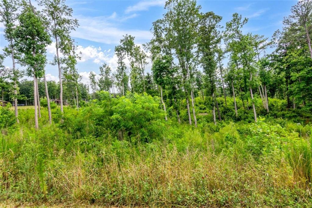 128 Twisted Oak Road Talking Rock, GA 30175 - Photo 21 of 31 a view of a garden