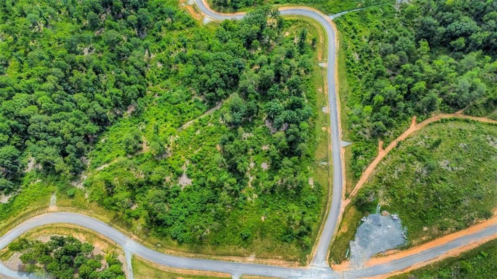 128 Twisted Oak Road Talking Rock, GA 30175 - Photo 4 of 31 a view of a garden