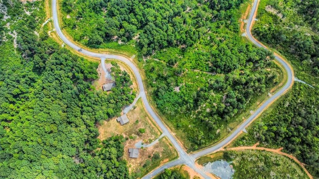 128 Twisted Oak Road Talking Rock, GA 30175 - Photo 8 of 31 a view of a yard with plants