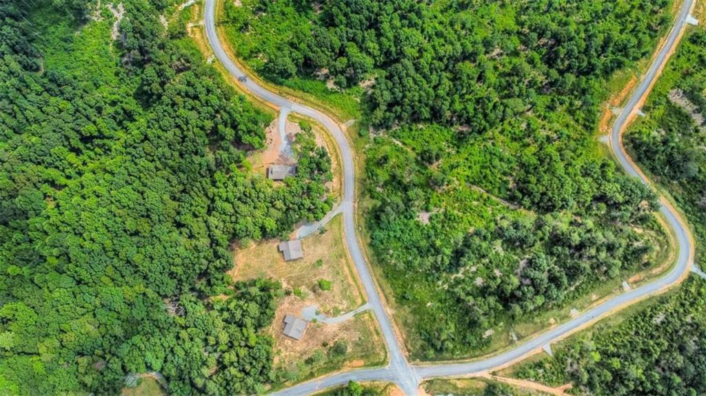 128 Twisted Oak Road Talking Rock, GA 30175 - Photo 9 of 31 a view of a yard with plants
