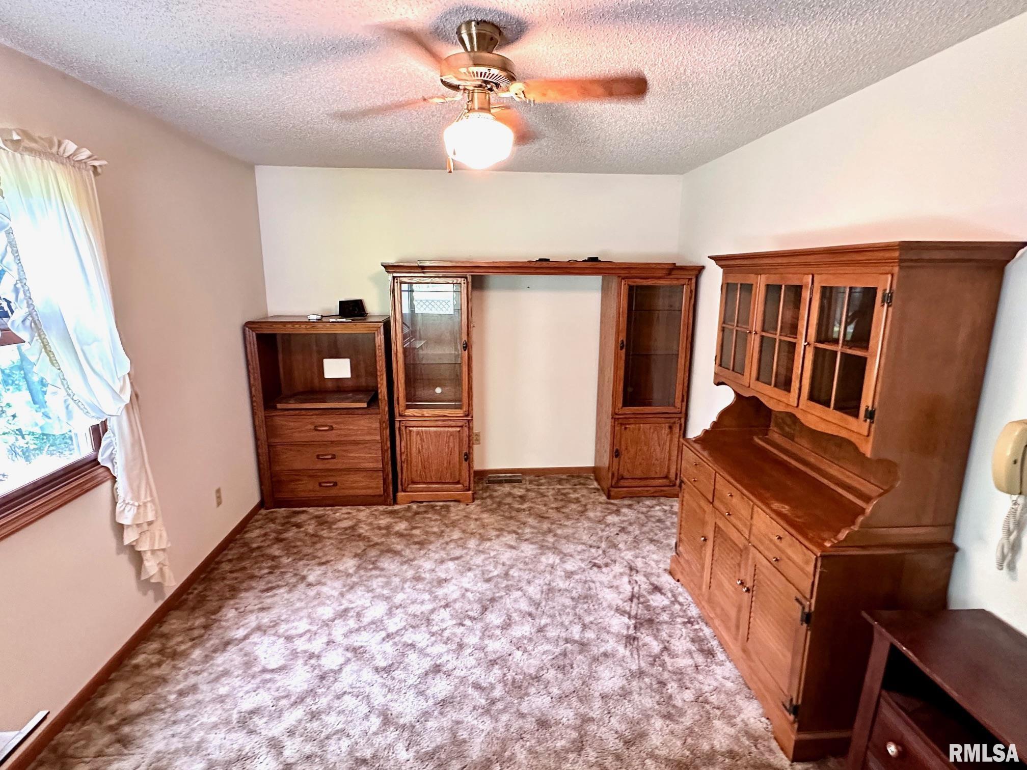 1802 Lakamp Road Roodhouse, IL 62082 - Photo 37 of 46