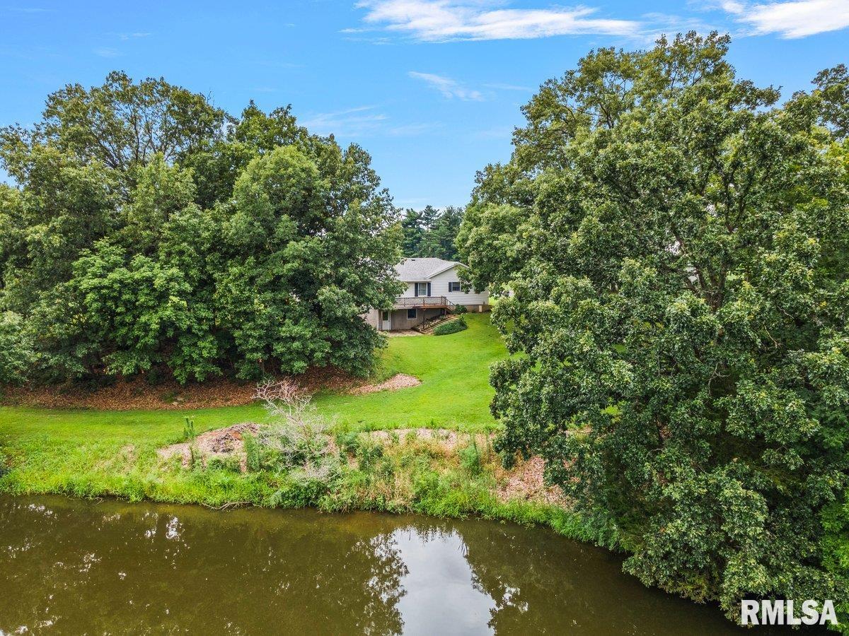 1802 Lakamp Road Roodhouse, IL 62082 - Photo 7 of 46