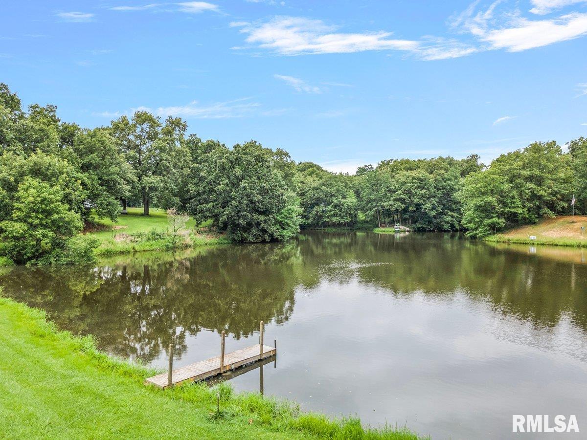 1802 Lakamp Road Roodhouse, IL 62082 - Photo 8 of 46