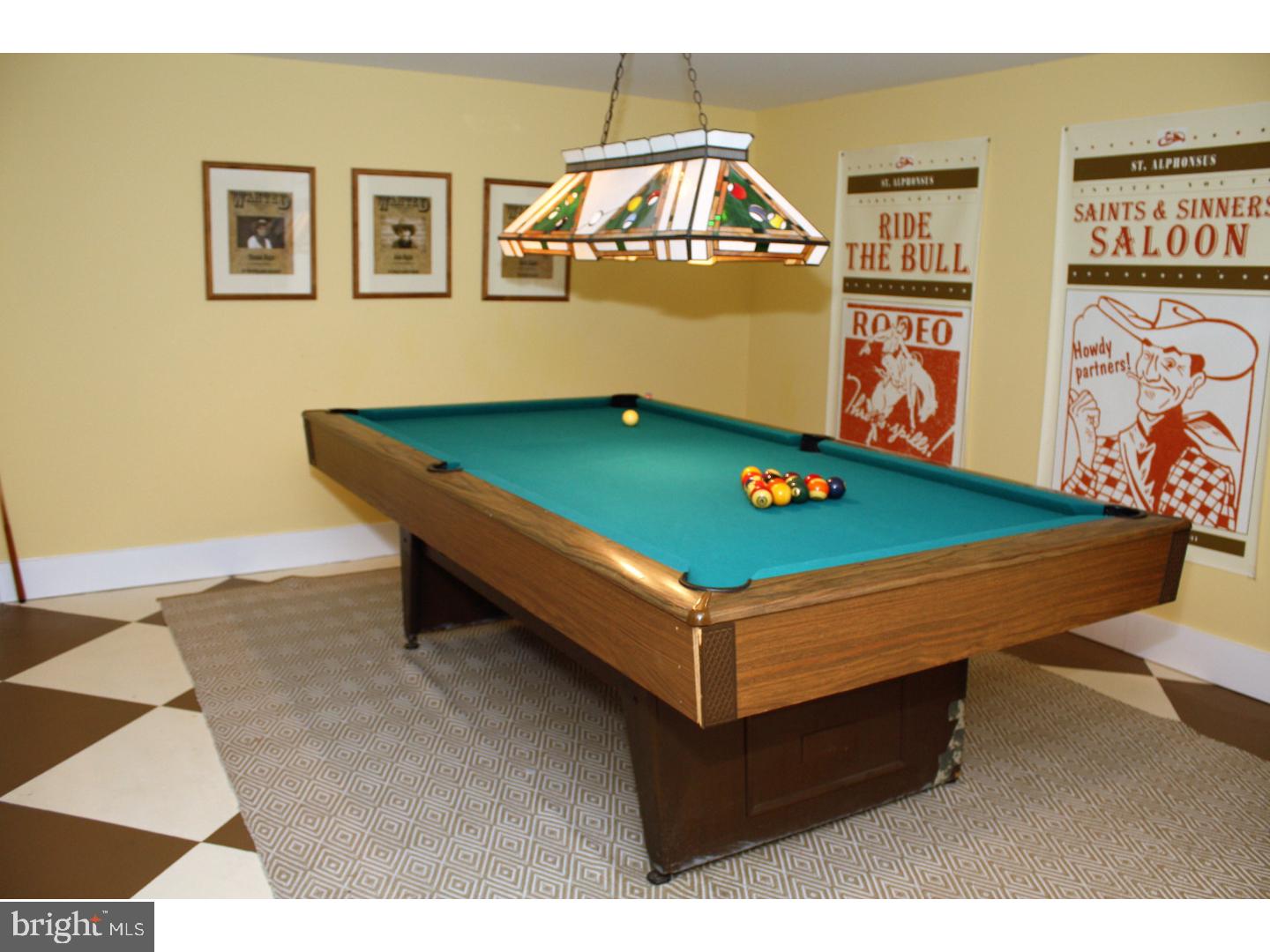 6 Fox Pond Place Spring House, PA 19477 - Photo 22 of 25 Basement - Finished