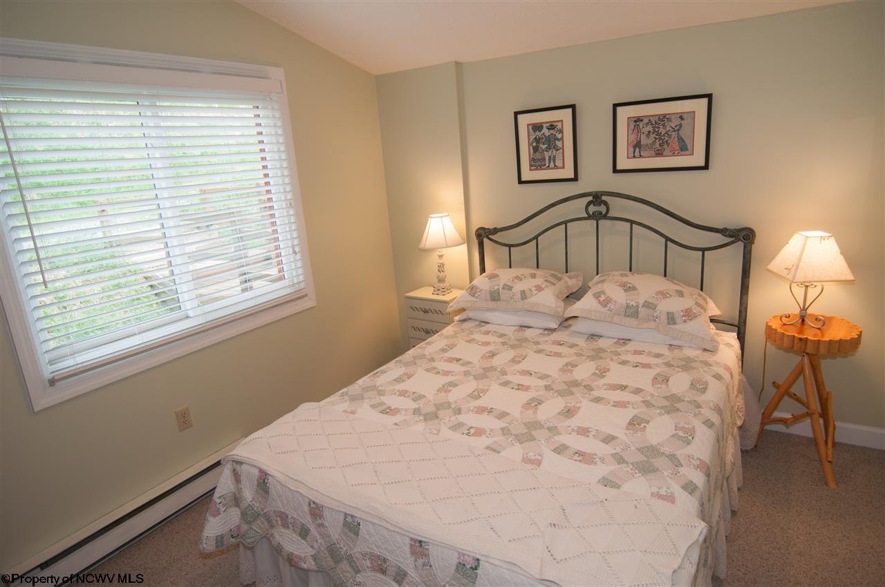 1681 Mountainside Road Davis, WV 26260 - Photo 3 of 18 Gallery Image 3