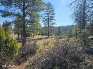 $210,000 | 3326 Black Canyon Road, Heber, AZ 85928