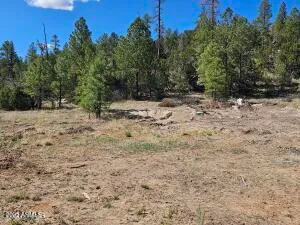 $210,000 | 3326 Black Canyon Road, Heber, AZ 85928