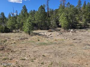 3326 Black Canyon Road Heber, AZ 85928 - Photo 3 of 9 10