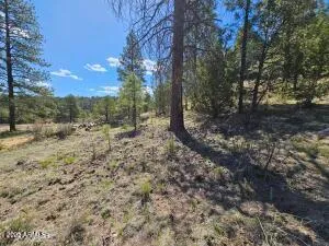 $210,000 | 3326 Black Canyon Road, Heber, AZ 85928
