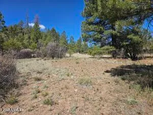 $210,000 | 3326 Black Canyon Road, Heber, AZ 85928