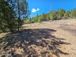 $210,000 | 3326 Black Canyon Road, Heber, AZ 85928
