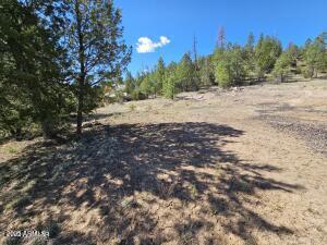 3326 Black Canyon Road Heber, AZ 85928 - Photo 7 of 9 11