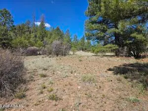 $210,000 | 3326 Black Canyon Road, Heber, AZ 85928