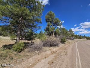 3326 Black Canyon Road Heber, AZ 85928 - Photo 9 of 9 6