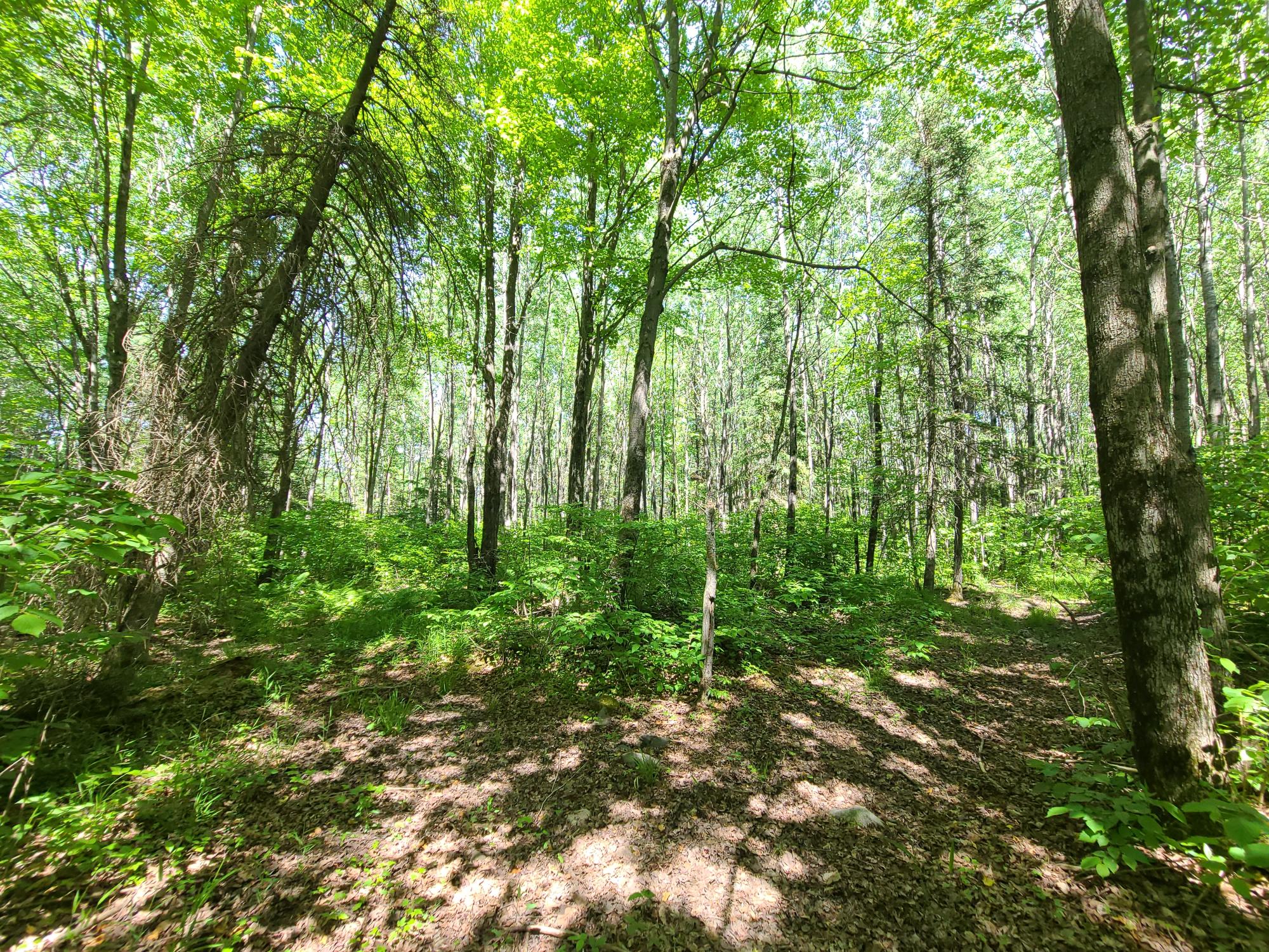 8 Old 8 Road West Prentice, WI 54556 - Photo 24 of 28 Gallery Image 24