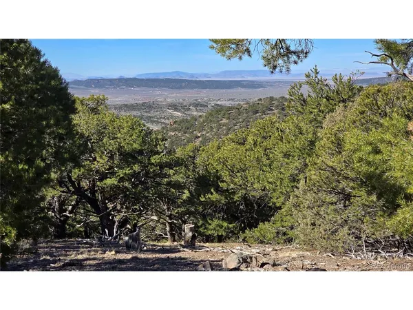 $18,500 | 4510 Iannelli Road, Fort Garland, CO 81133