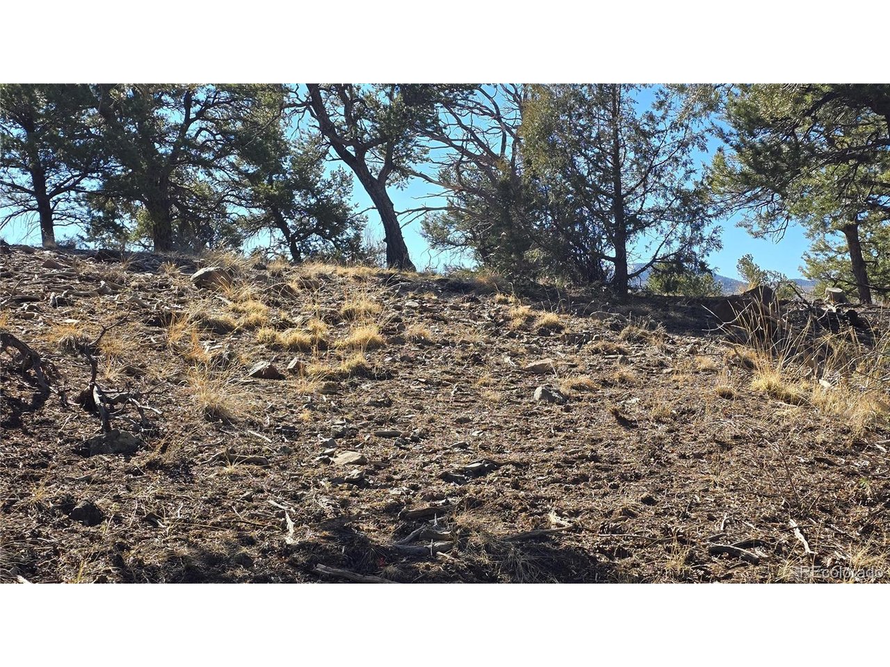 4510 Iannelli Road Fort Garland, CO 81133 - Photo 11 of 27