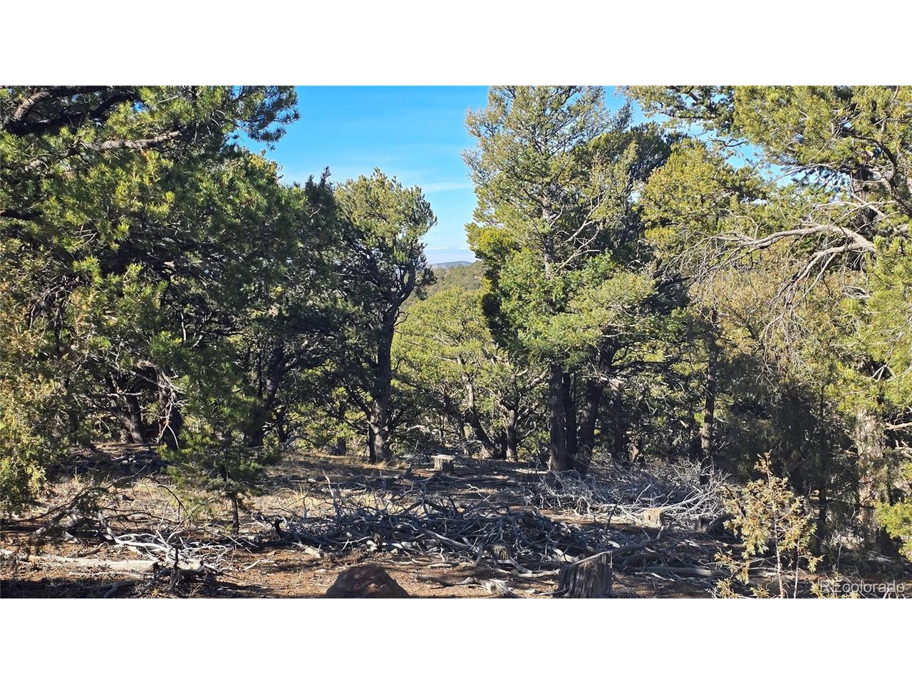 4510 Iannelli Road Fort Garland, CO 81133 - Photo 12 of 27