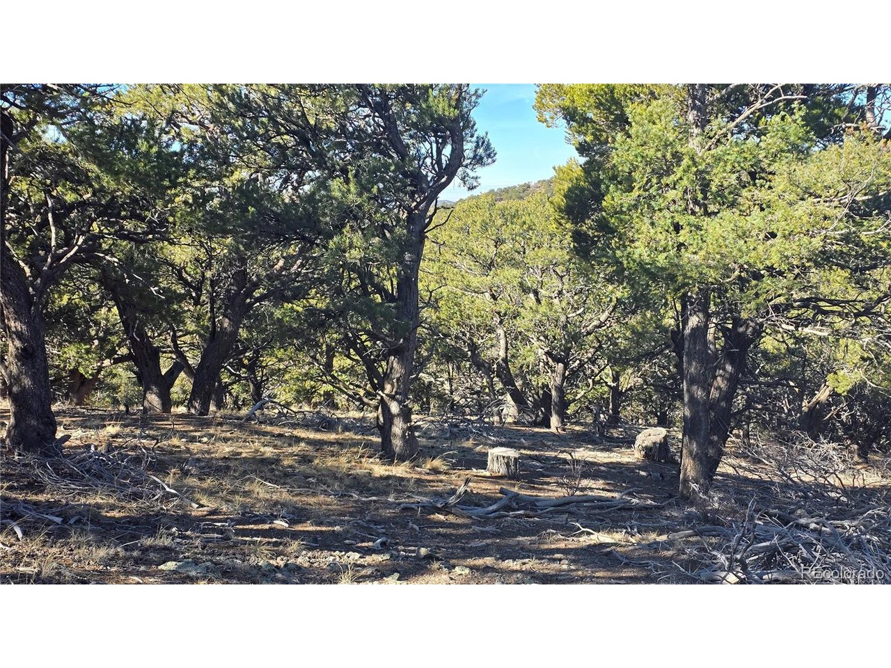 4510 Iannelli Road Fort Garland, CO 81133 - Photo 13 of 27