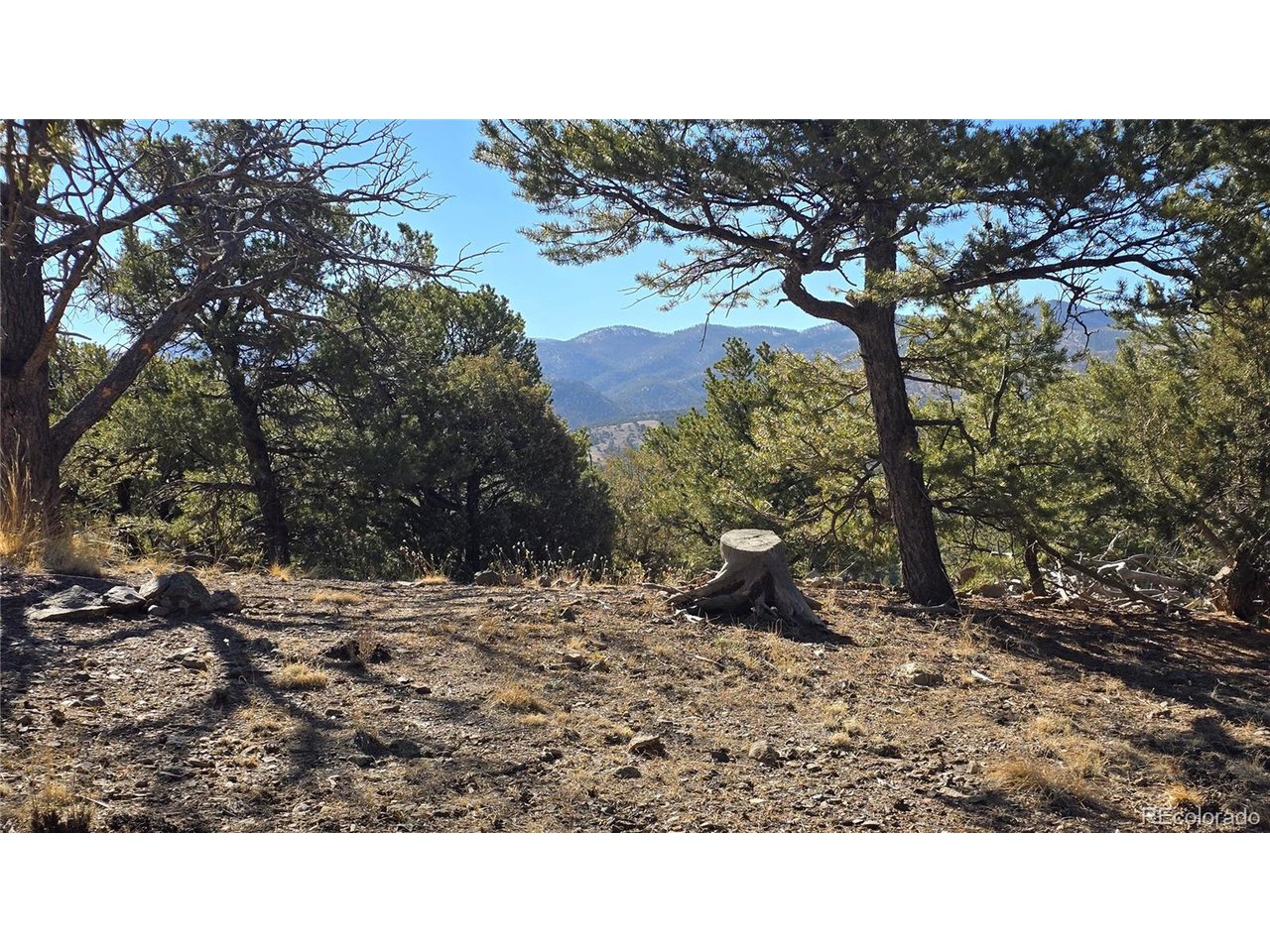 4510 Iannelli Road Fort Garland, CO 81133 - Photo 14 of 27