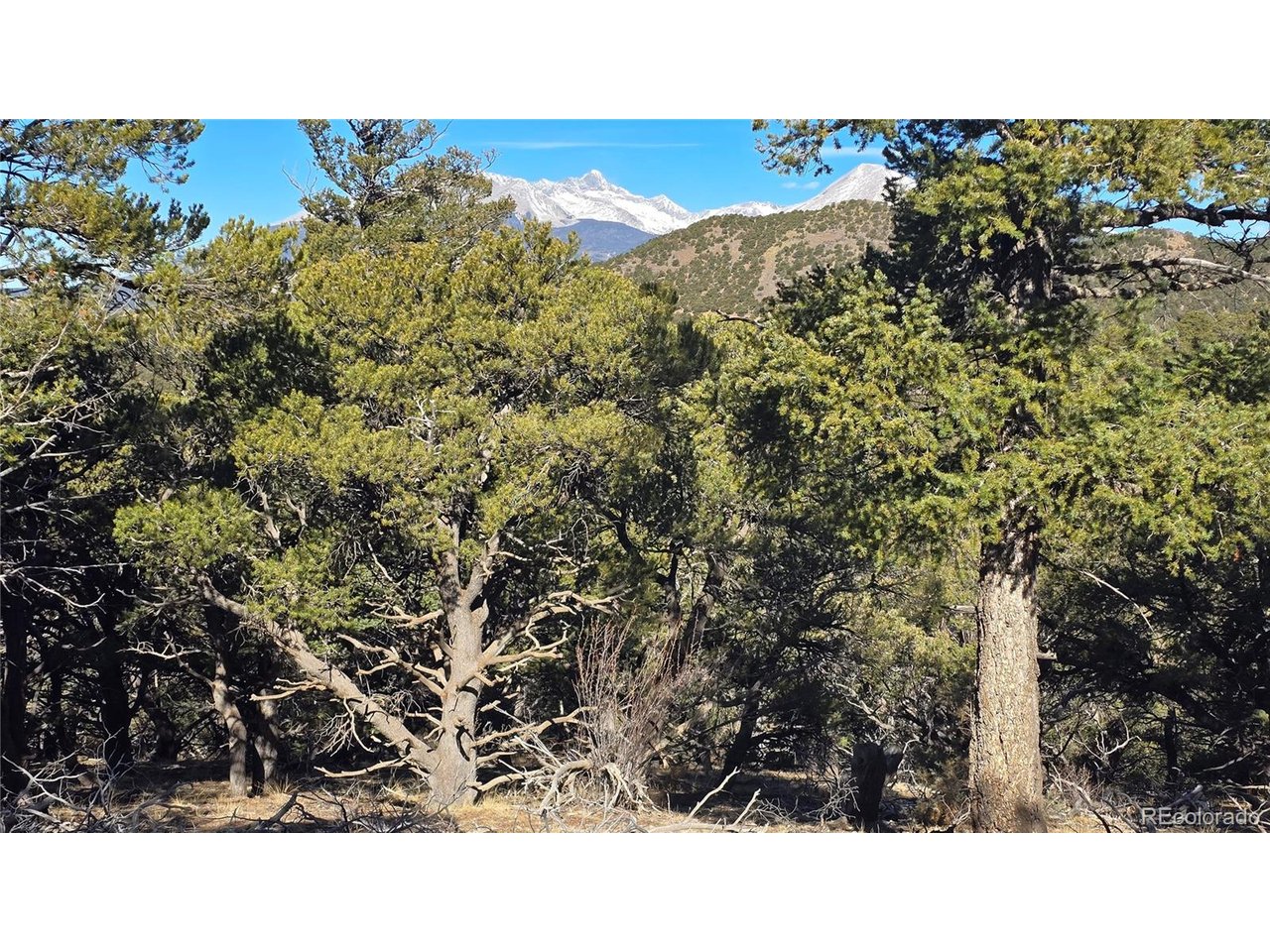 4510 Iannelli Road Fort Garland, CO 81133 - Photo 15 of 27