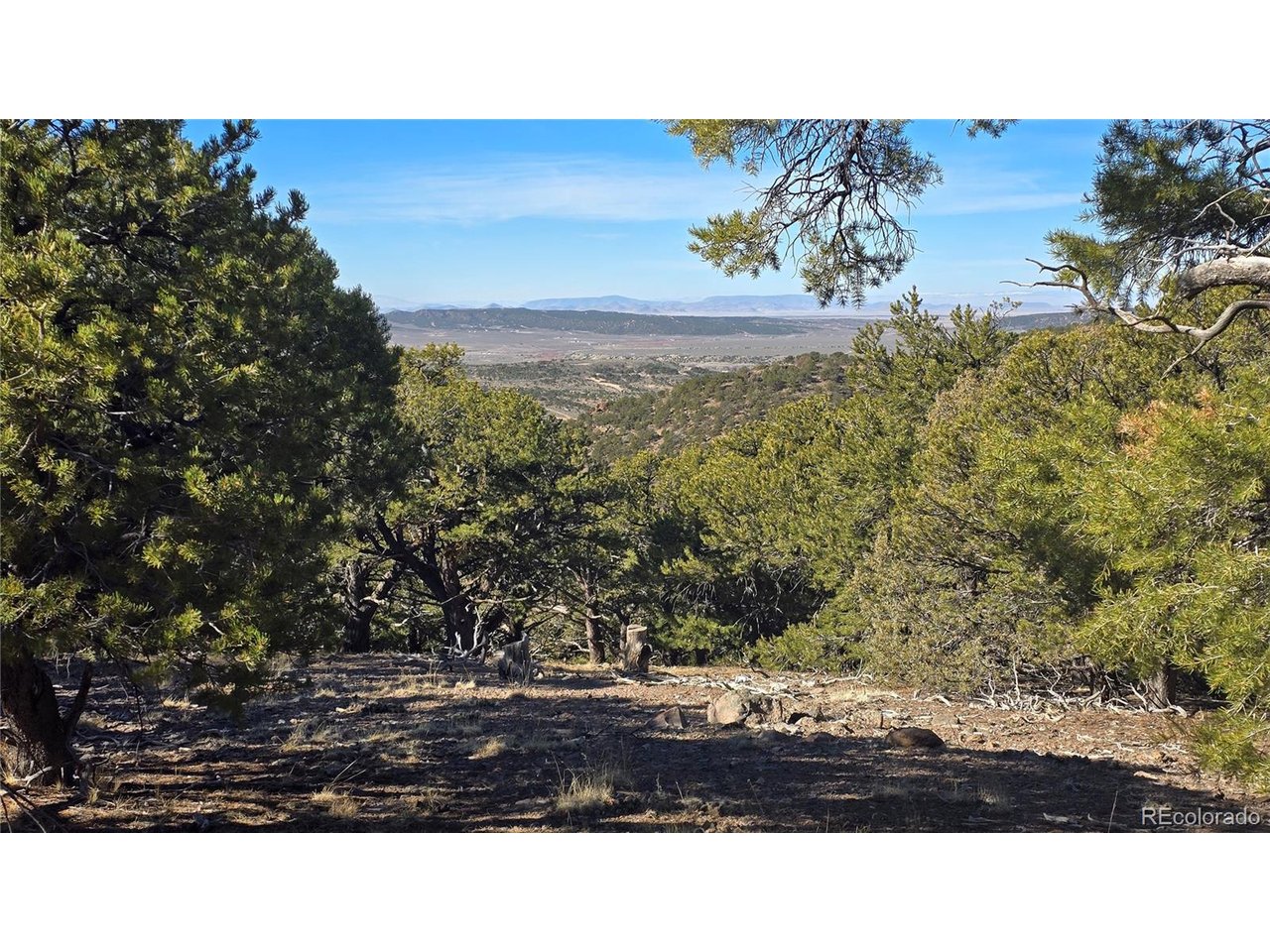 4510 Iannelli Road Fort Garland, CO 81133 - Photo 16 of 27