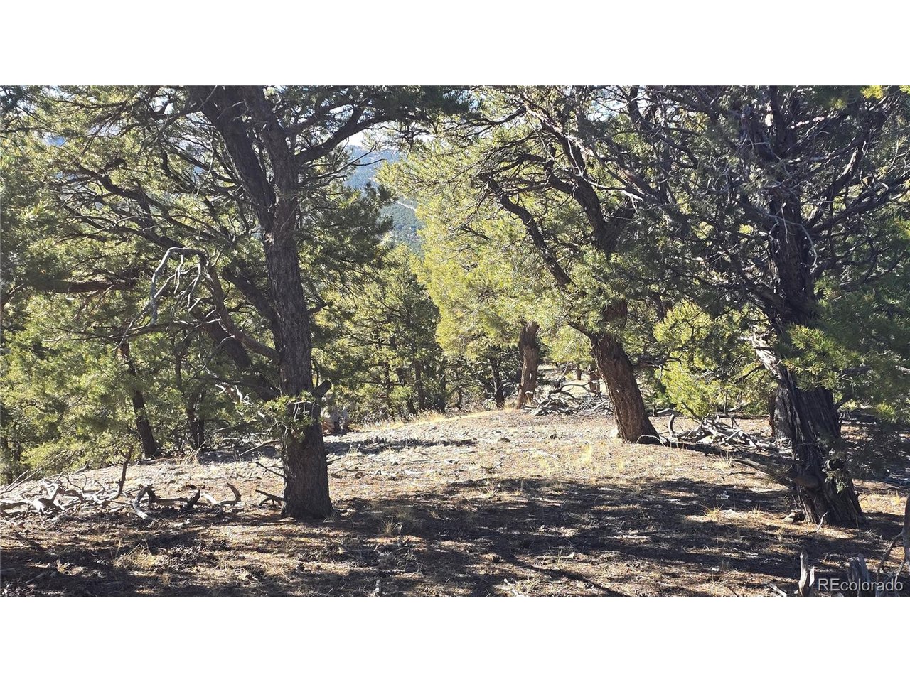 4510 Iannelli Road Fort Garland, CO 81133 - Photo 17 of 27