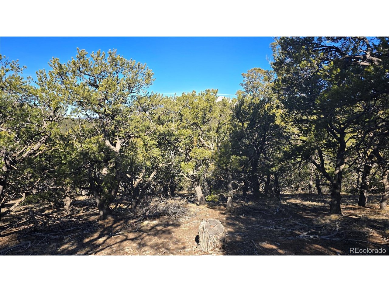 4510 Iannelli Road Fort Garland, CO 81133 - Photo 18 of 27