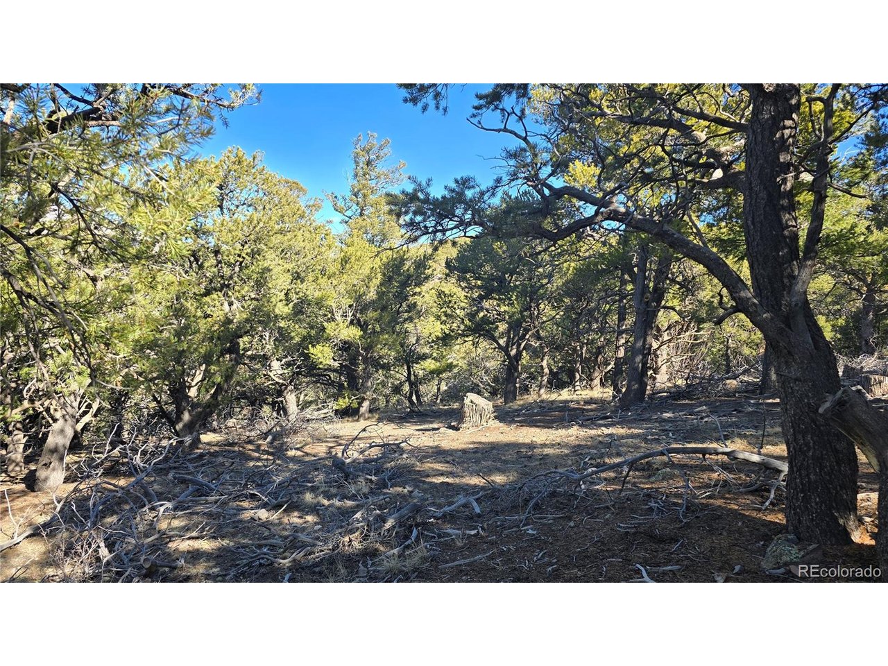 4510 Iannelli Road Fort Garland, CO 81133 - Photo 19 of 27