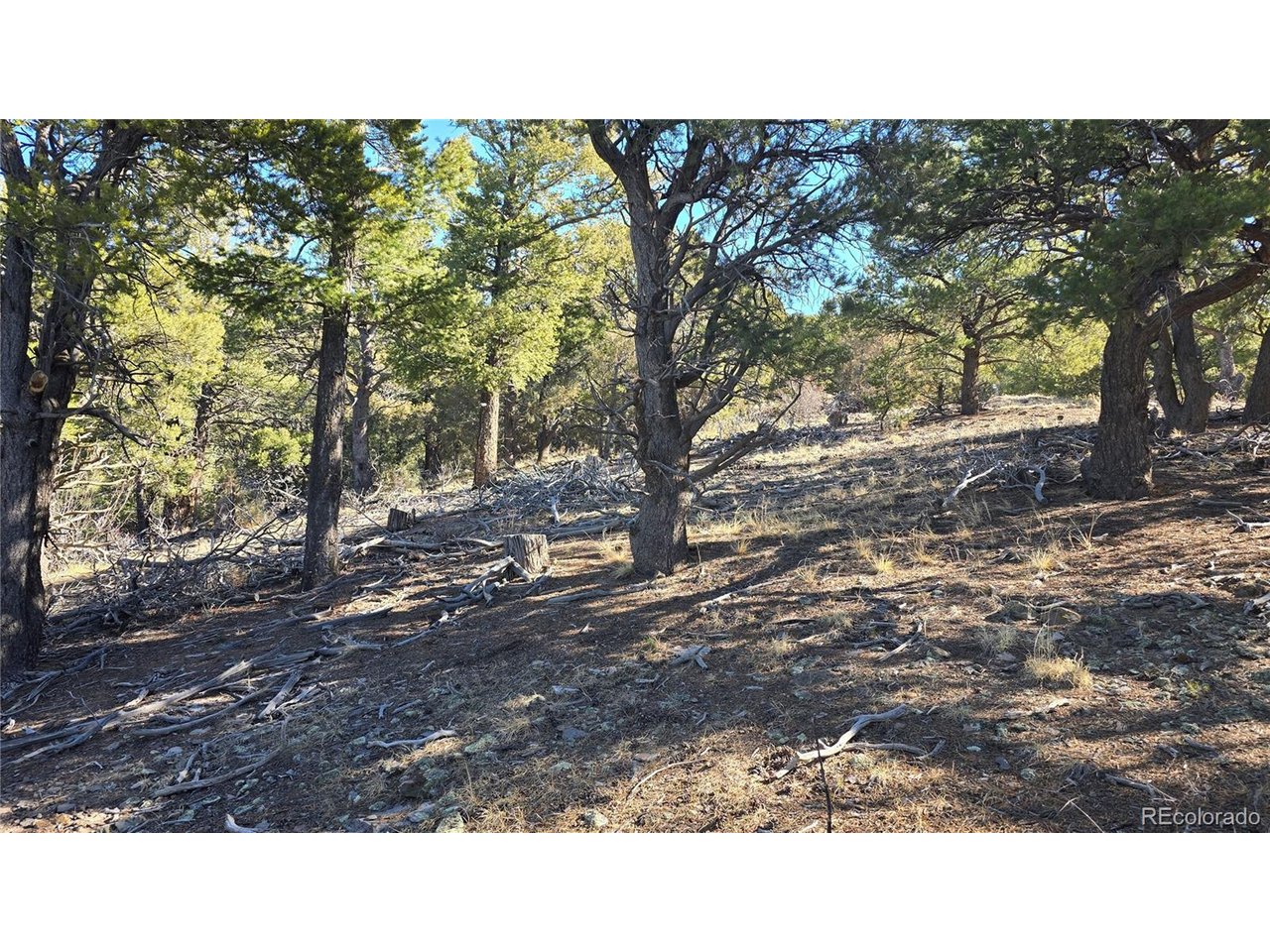 4510 Iannelli Road Fort Garland, CO 81133 - Photo 20 of 27