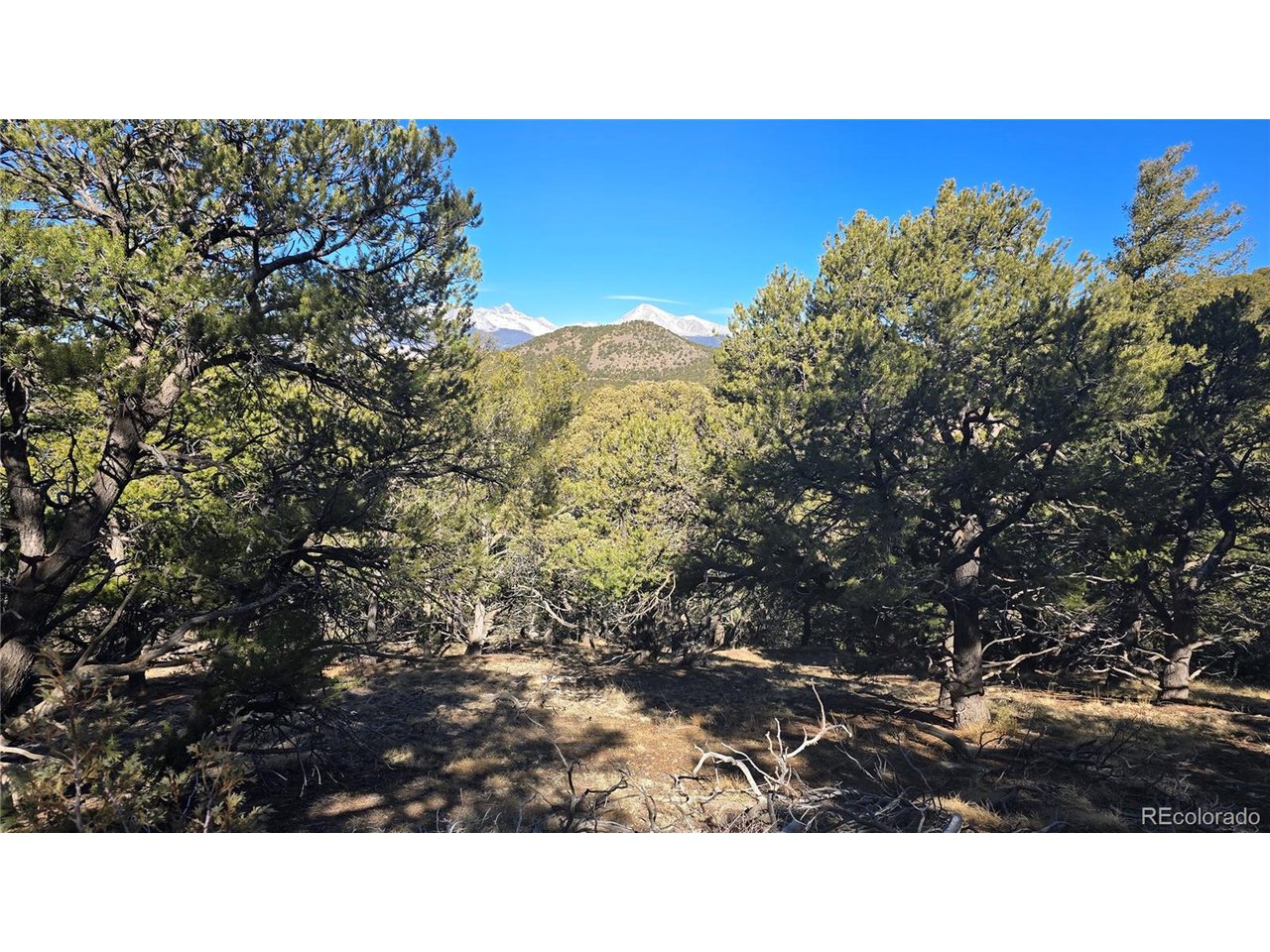 4510 Iannelli Road Fort Garland, CO 81133 - Photo 21 of 27