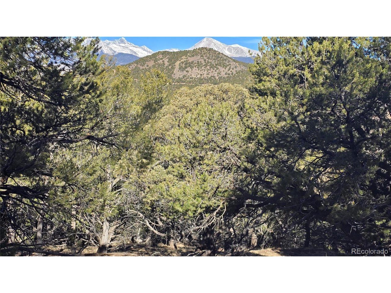 4510 Iannelli Road Fort Garland, CO 81133 - Photo 22 of 27