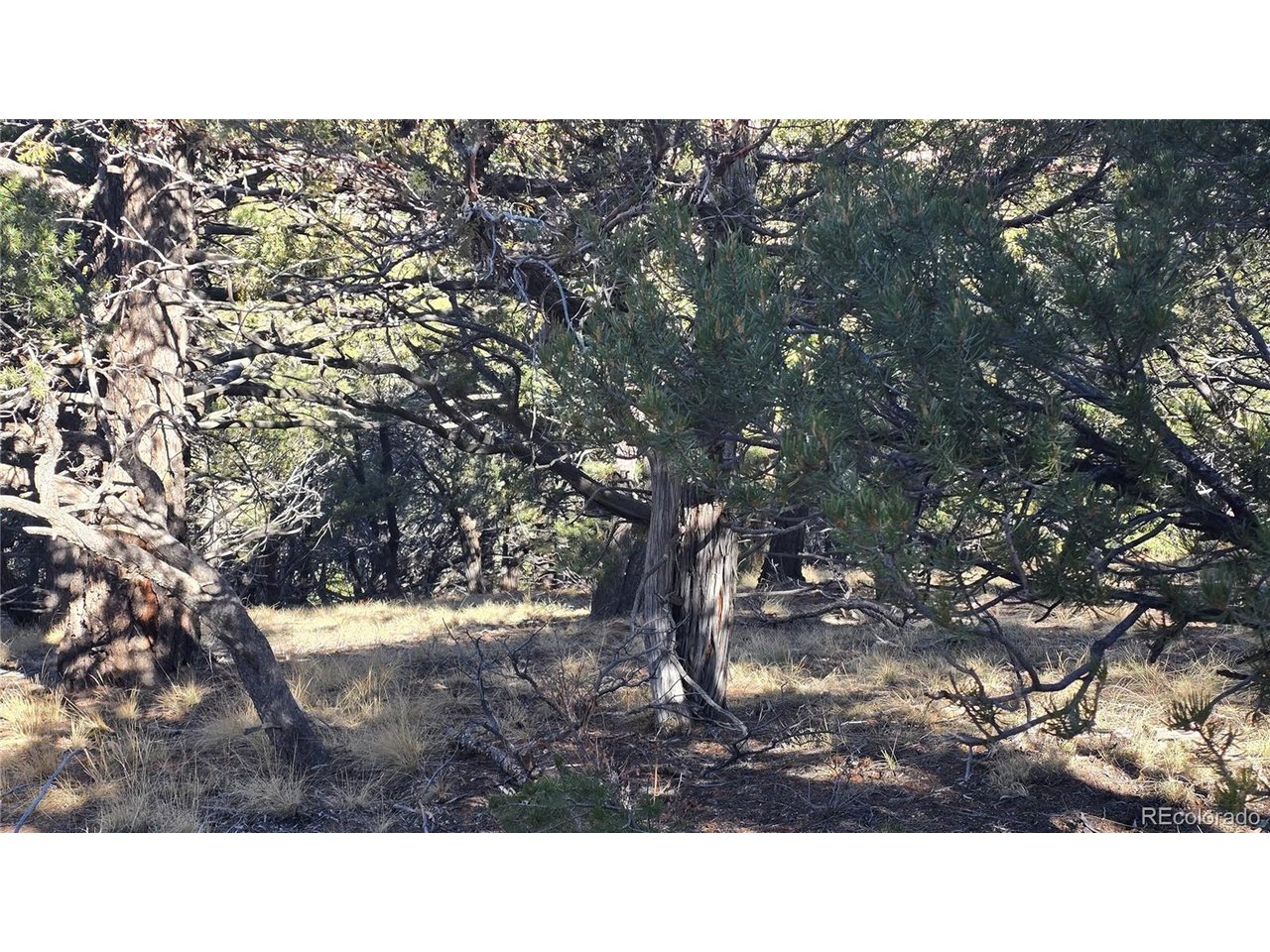 4510 Iannelli Road Fort Garland, CO 81133 - Photo 23 of 27