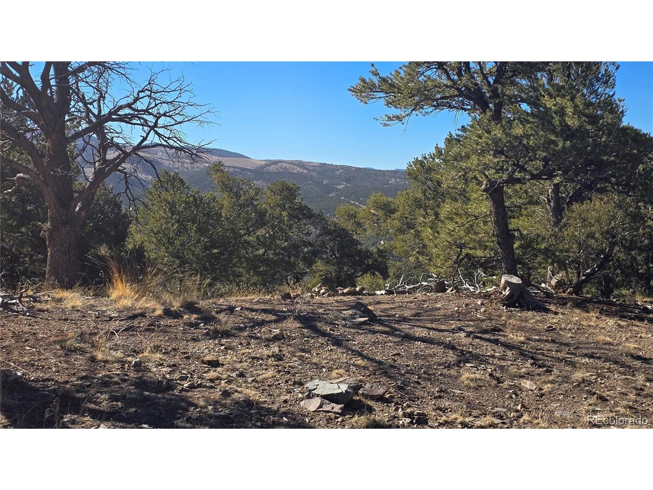 4510 Iannelli Road Fort Garland, CO 81133 - Photo 24 of 27