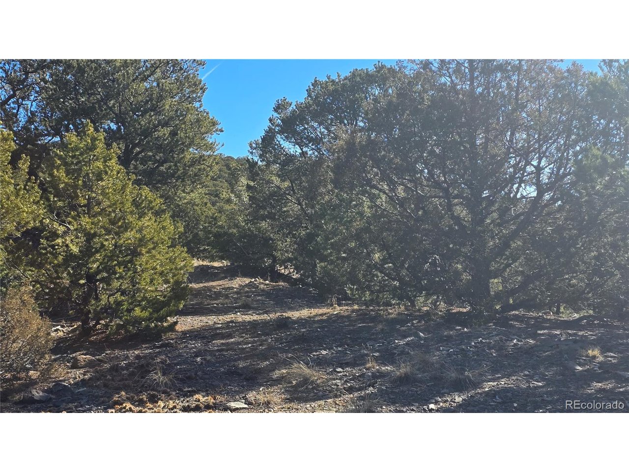 4510 Iannelli Road Fort Garland, CO 81133 - Photo 25 of 27