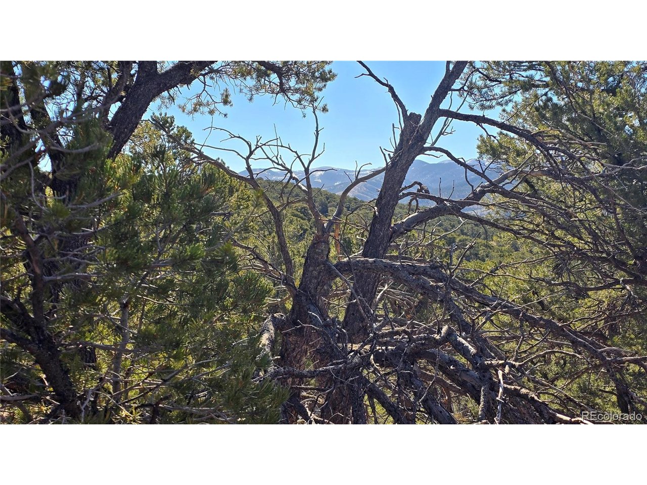 4510 Iannelli Road Fort Garland, CO 81133 - Photo 26 of 27