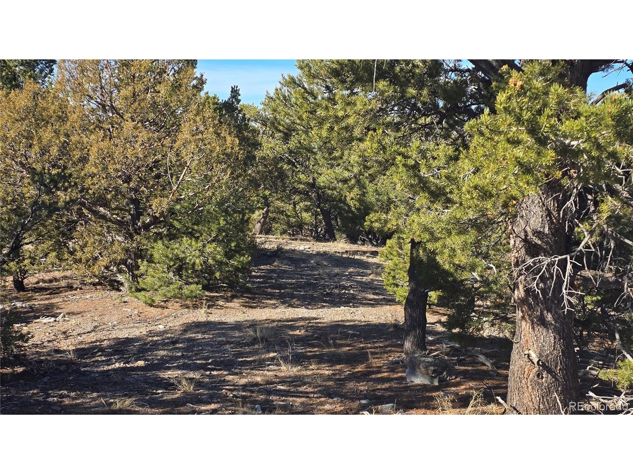 4510 Iannelli Road Fort Garland, CO 81133 - Photo 4 of 27