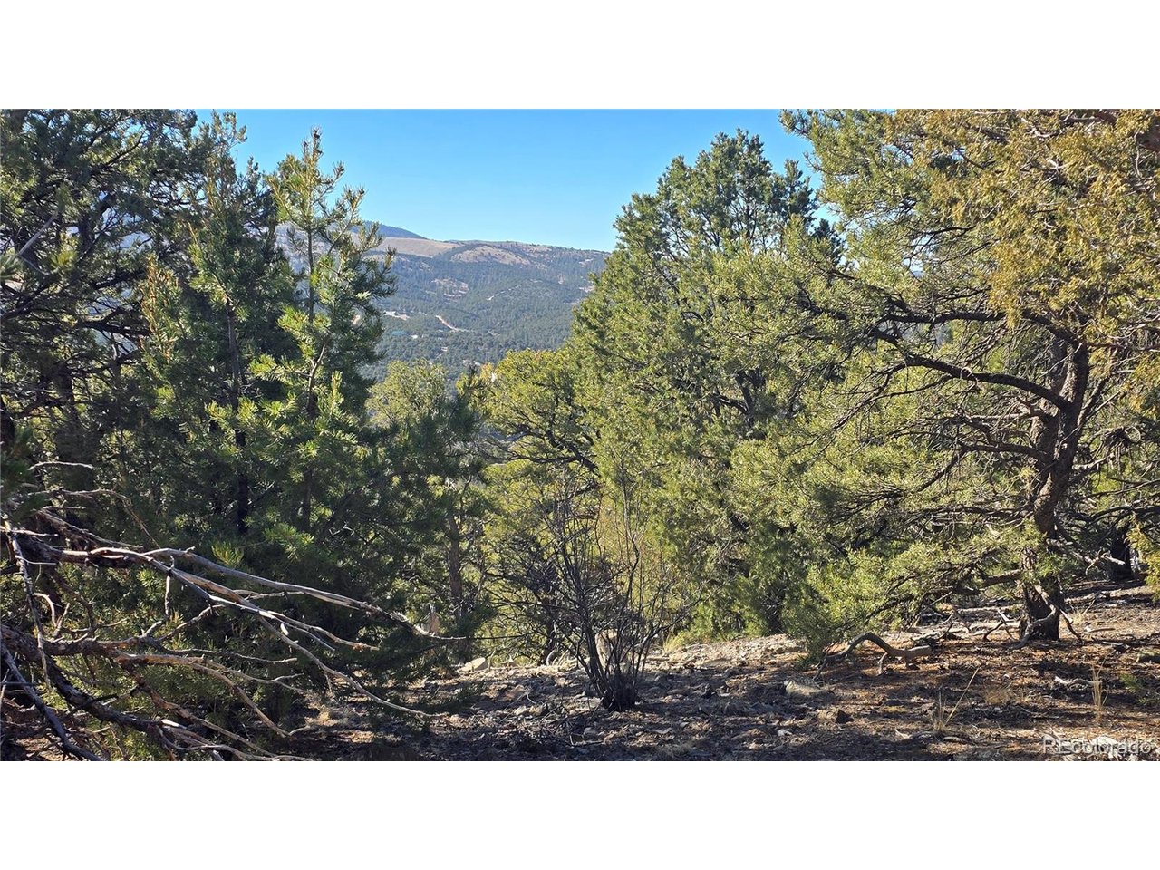 4510 Iannelli Road Fort Garland, CO 81133 - Photo 5 of 27