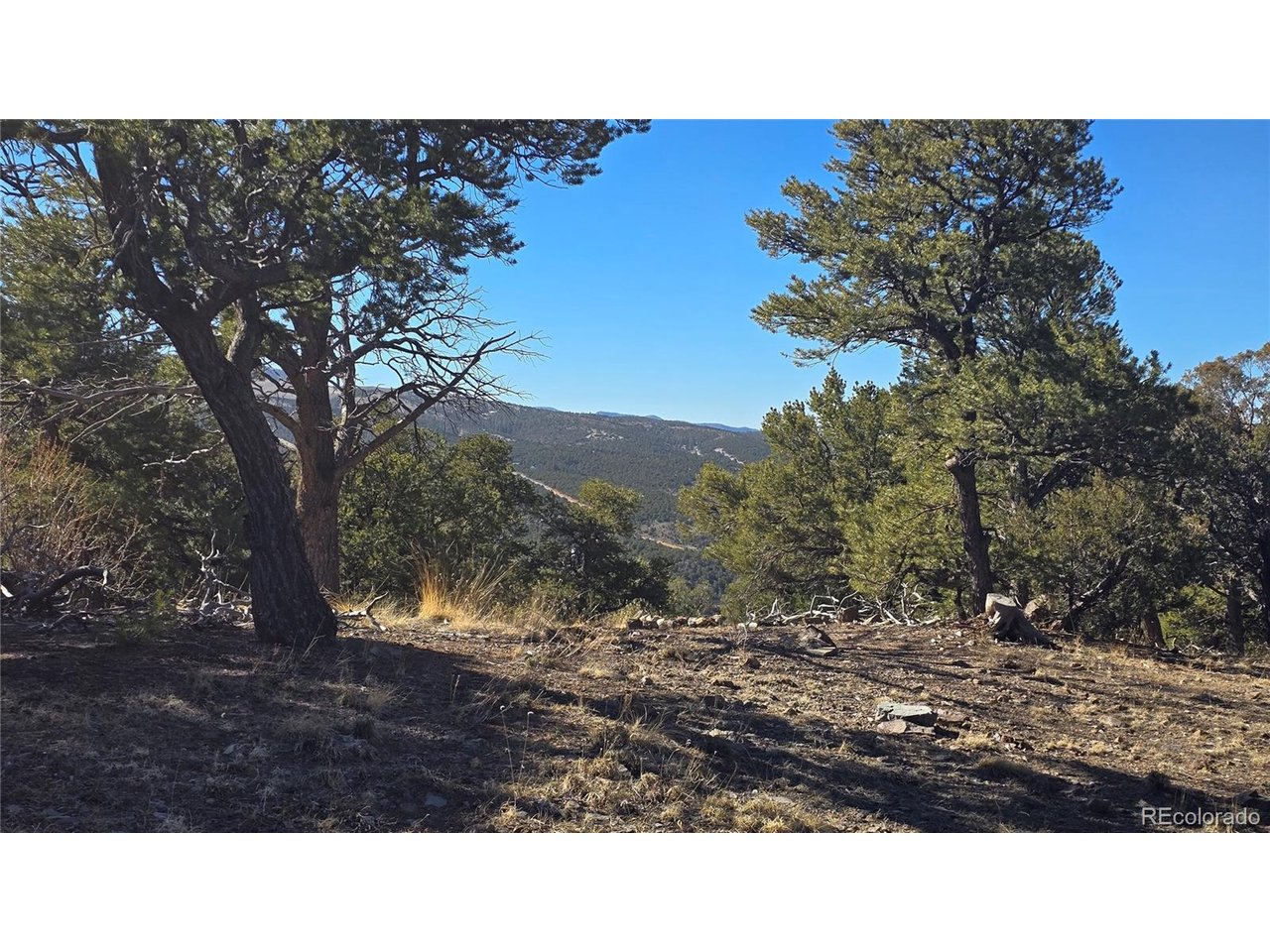 4510 Iannelli Road Fort Garland, CO 81133 - Photo 6 of 27